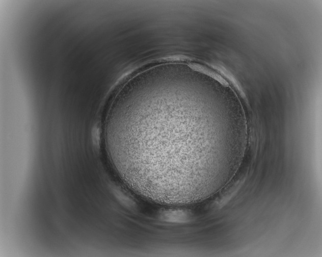 X0000115600063200911171136