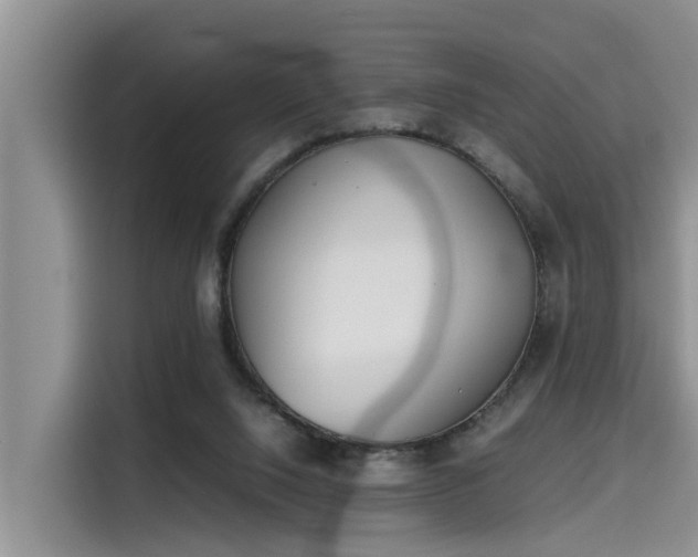 X0000115600064200911171136