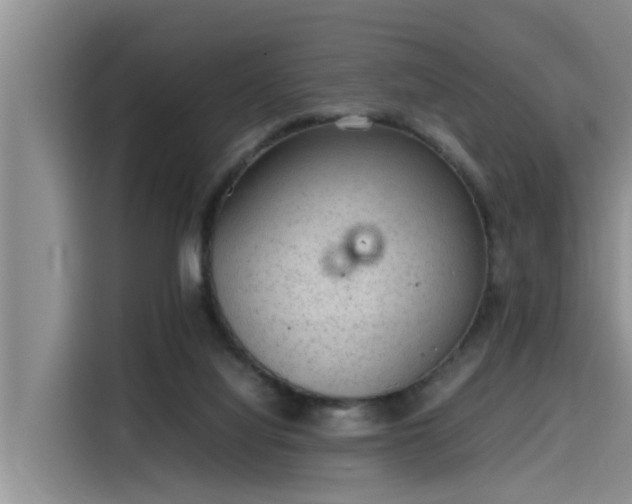 X0000115600068200911171136