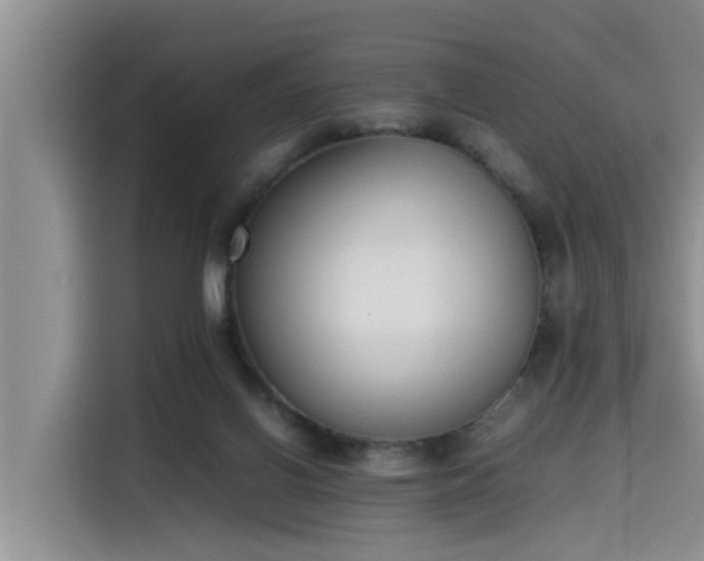 X0000115600070200911171136