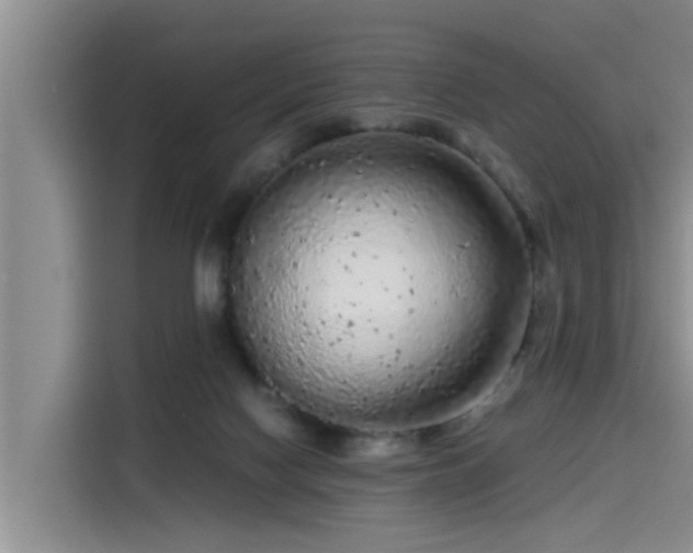 X0000115600074200911171136