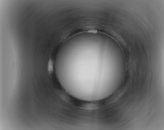 X0000115600075200911171136