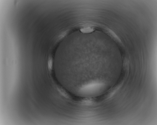 X0000115600076200911171136