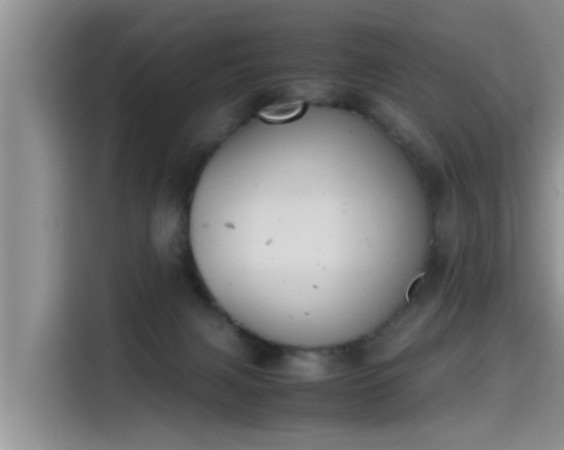 X0000115600079200911171137