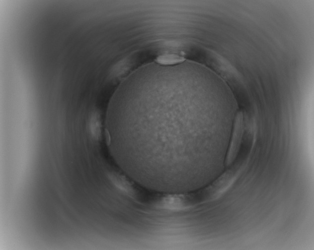 X0000115600080200911171137