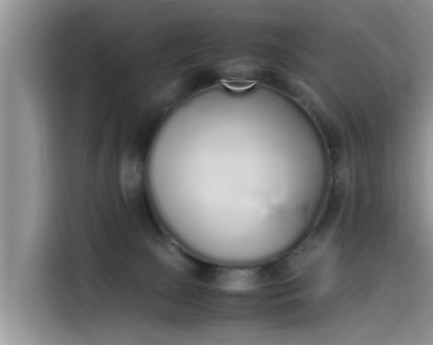 X0000115600081200911171137