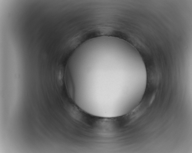 X0000115600082200911171137