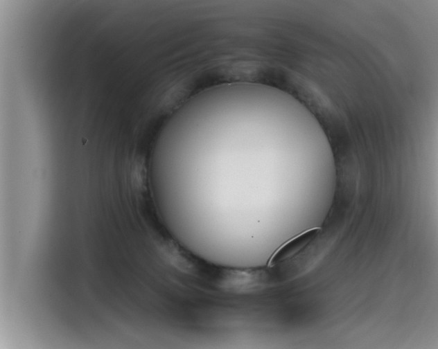 X0000115600083200911171137