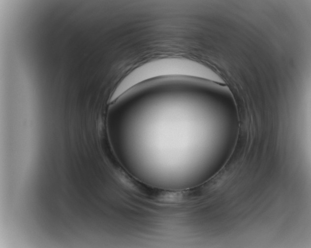 X0000115600084200911171137