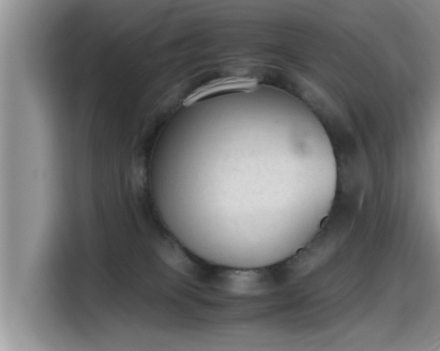 X0000115600085200911171137