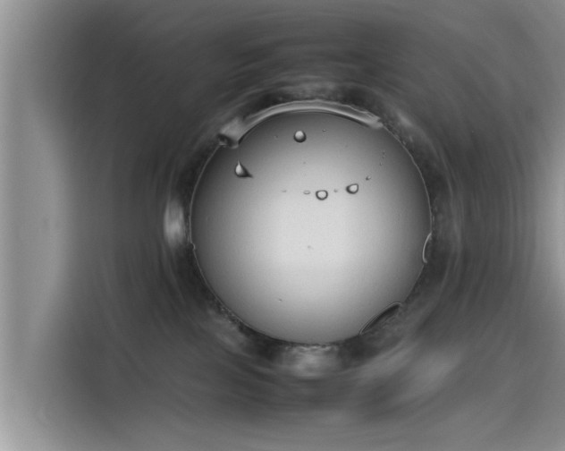 X0000115600089200911171137