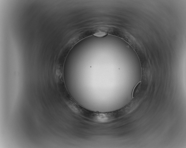 X0000115600091200911171137