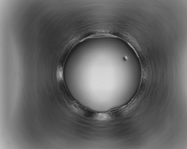 X0000115600095200911171137