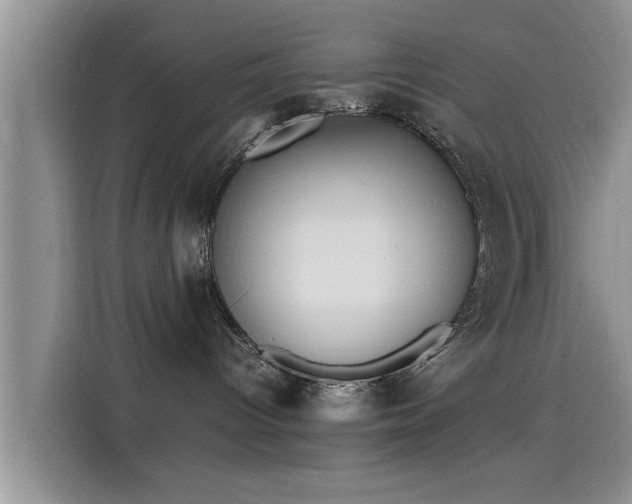 X0000115600096200911171137