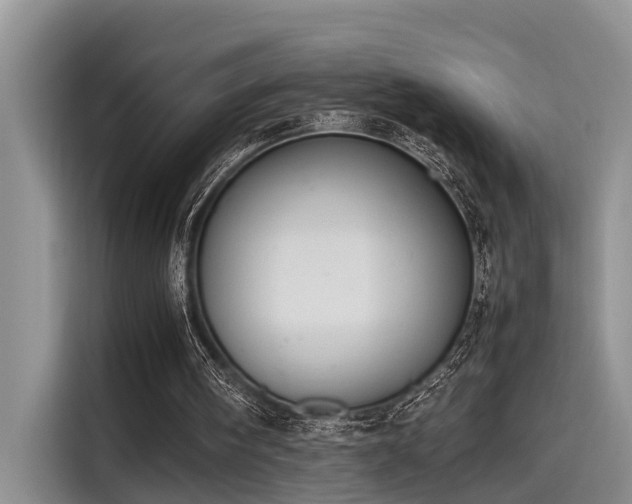 X0000115600098200911171136