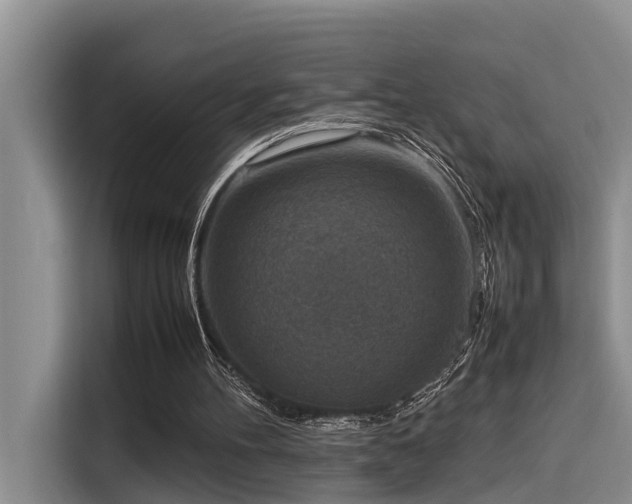 X0000115600100200911171136