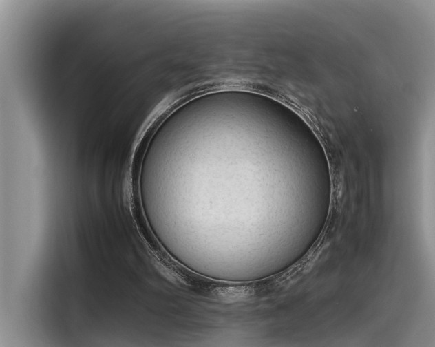 X0000115600102200911171136