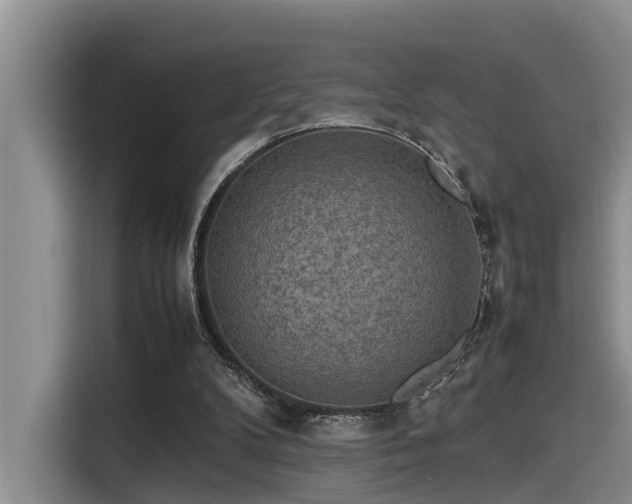 X0000115600104200911171136