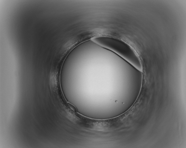 X0000115600105200911171136