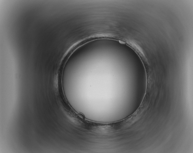 X0000115600108200911171136