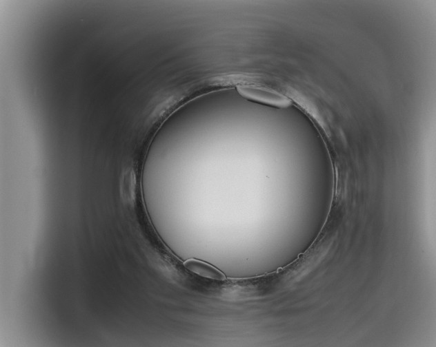 X0000115600109200911171136