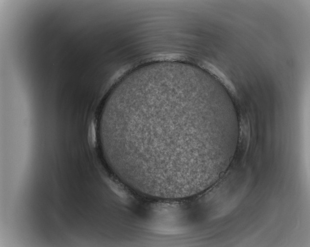 X0000115600110200911171136