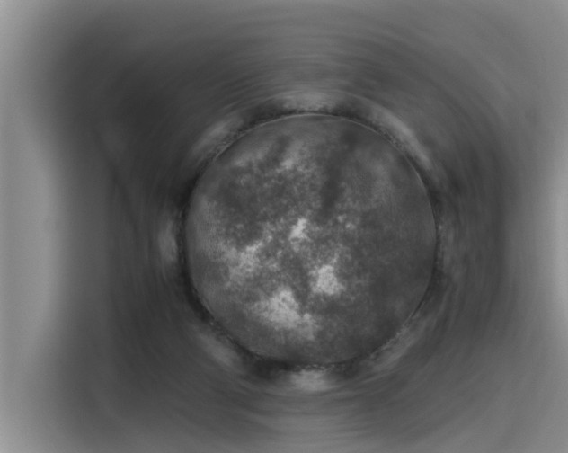 X0000115600114200911171136