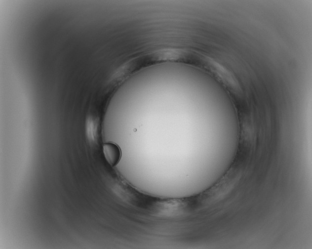 X0000115600118200911171136