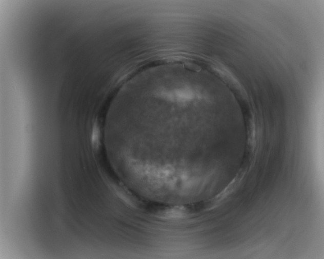 X0000115600124200911171136