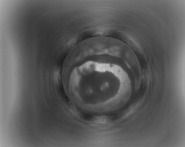 X0000115600127200911171136