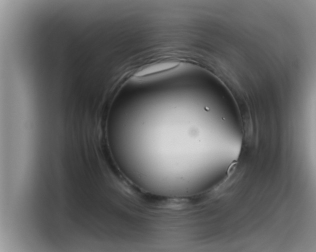 X0000115600128200911171136