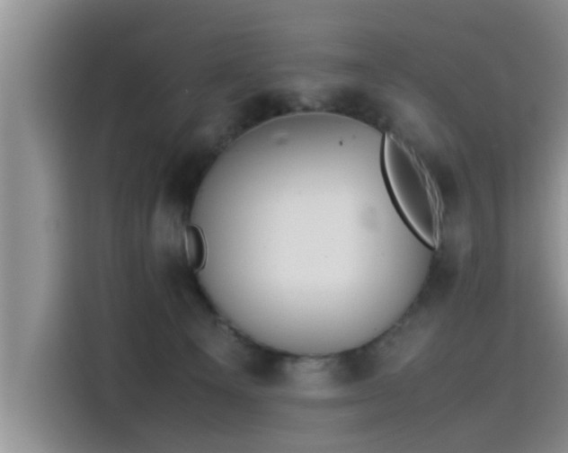 X0000115600129200911171136