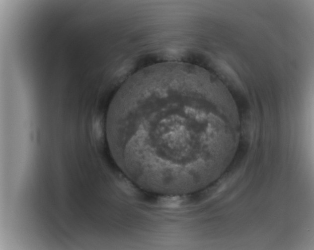 X0000115600131200911171136