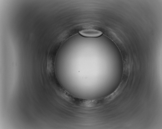 X0000115600136200911171136