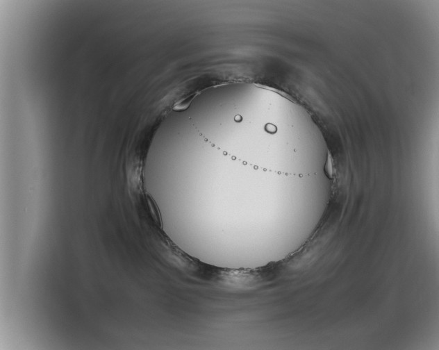 X0000115600141200911171136