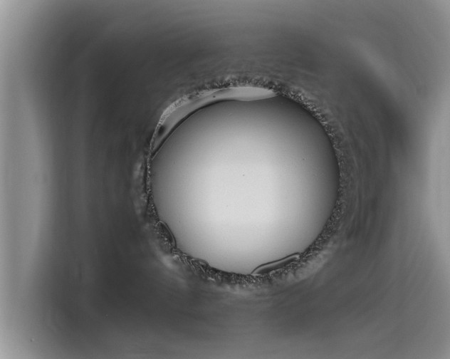 X0000115600144200911171136