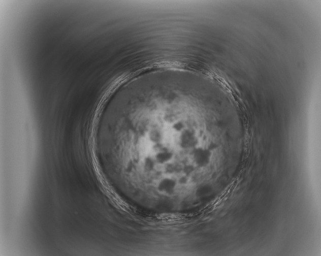 X0000115600145200911171135