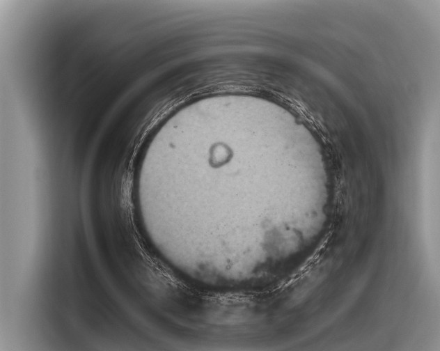 X0000115600146200911171135