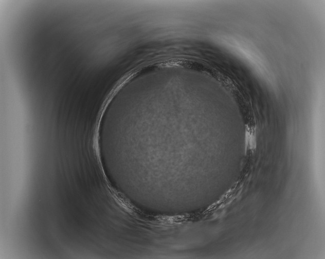 X0000115600147200911171135