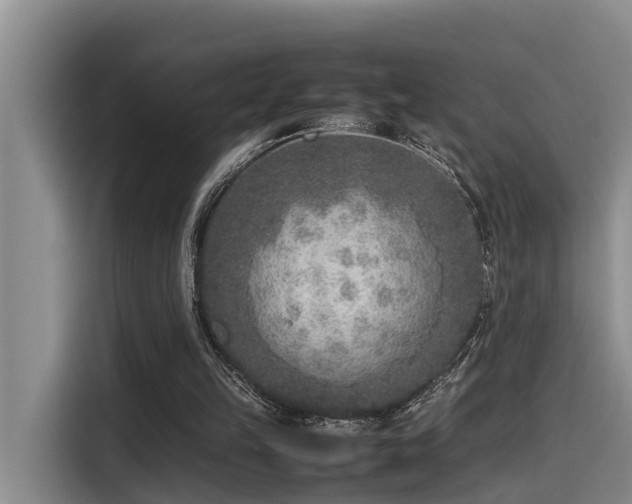 X0000115600149200911171135