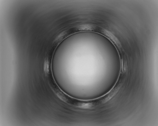 X0000115600157200911171135