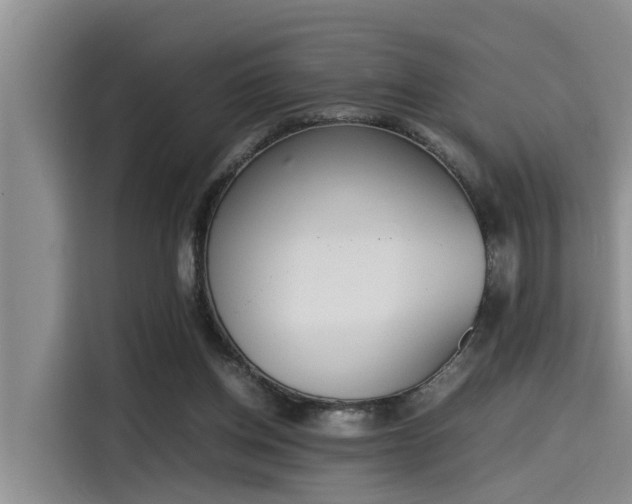 X0000115600158200911171135