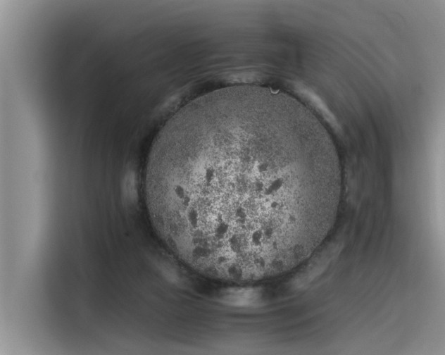 X0000115600161200911171135