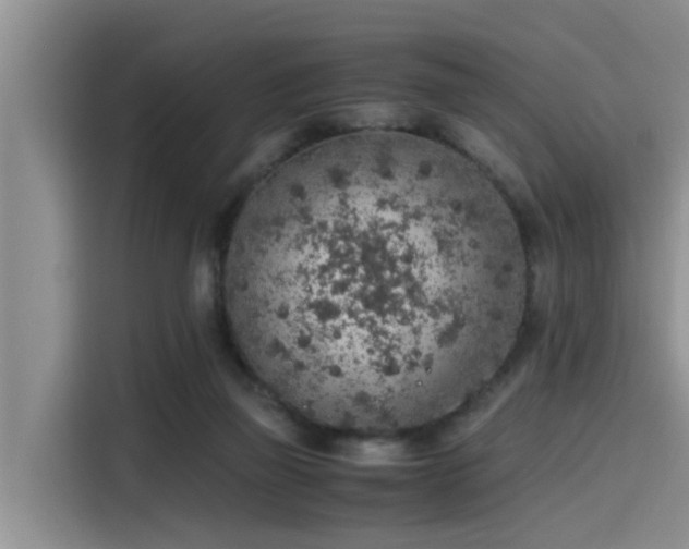 X0000115600165200911171135