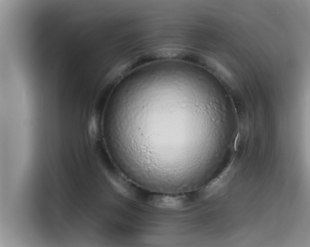 X0000115600166200911171135