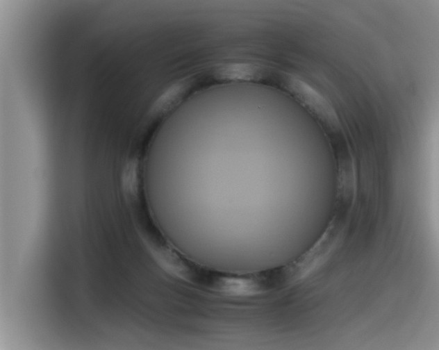 X0000115600167200911171135