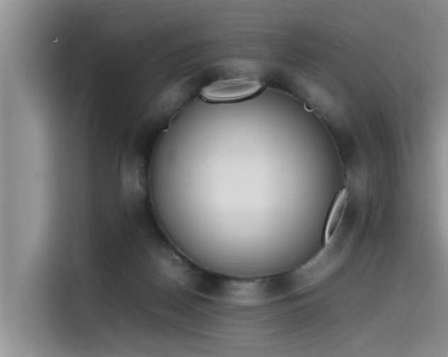 X0000115600170200911171135