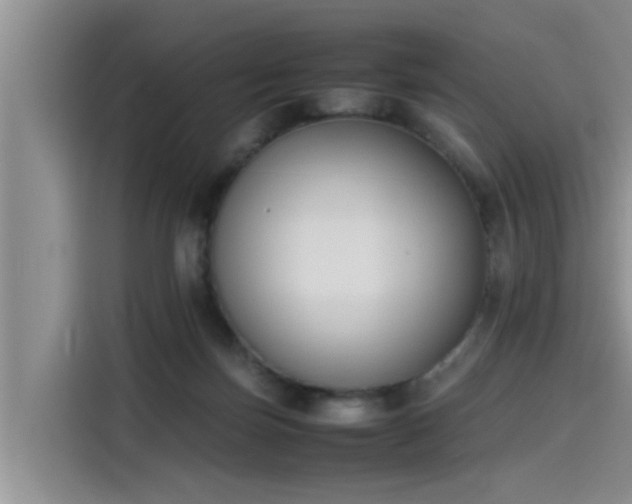 X0000115600171200911171135