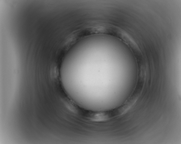 X0000115600173200911171135