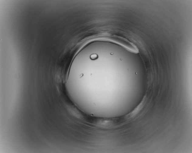 X0000115600174200911171135